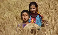 مستند ایرانی برگزیده جشنواره المپیای یونان شد