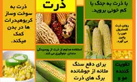 فواید شگفت انگیز ذرت