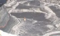 واکنشی که عکاسان را حیرت‌زده کرد +عکس