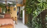 زنی که آپارتمانش را به جنگل تبدیل کرد