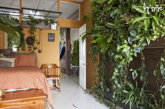 زنی که آپارتمانش را به جنگل تبدیل کرد