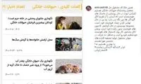 ما کجا می‌رویم، دنیا کجا می‌رود؟