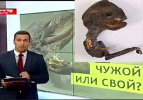 عکس: کشف موجودی عجیب در روسیه