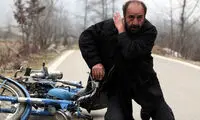 «خرس» کماکان منتظر پروانه نمایش