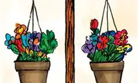 کارتون: دادسرای جدید!