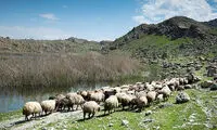 تصاویری بی‌نظیر از شهر تالاب‌های ایران