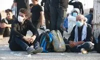 زیارت کربلا به چه قیمتی!