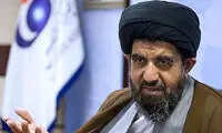 موسوی لارگانی: دولت، مجلس را دور نزند