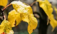 بارش اولین برف پائیزی در اردبیل