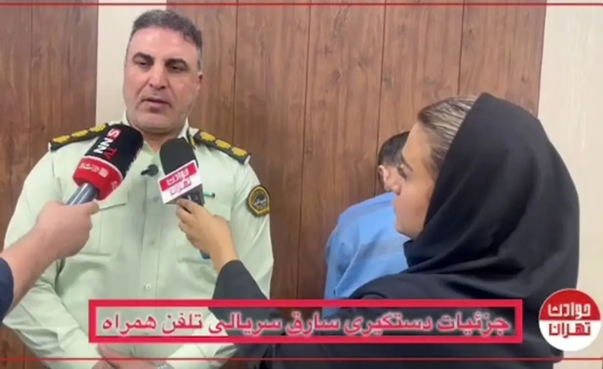 دستگیری سارق خشن تلفن همراه در ونک