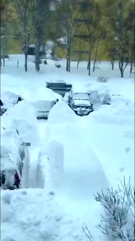 ببینید: دفن شدن ماشین‌ها زیر خروارها برف