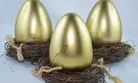 تخم‌مرغ از نظر هندسی دقیقا چه شکلی دارد؟