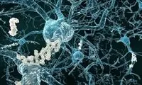 مقابله با آلزایمر به کمک نانوپاک‌کننده‌ها
