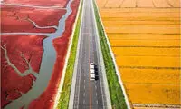 اگر عاشق رانندگی هستید، این جاده‌ها دیوانه‌تان می‌کنند