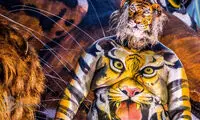جشنواره ببرهای رقصان!