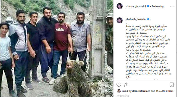 واکنش شهاب حسینی به کشته شدن خرس