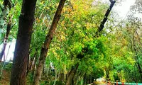 ایرانِ زیبای ما (8)