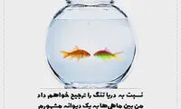 مینی شعر (405)
