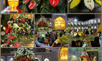 گل آرایی حرم رضوی در سالروز میلاد امام رئوف