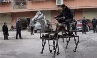 اسب نفتی! +عکس