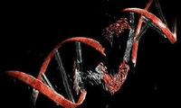 خطا در رونویسی DNA علت بروز اکثر سرطان‌ها
