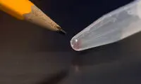 ویژگی های غیر قابل باور DNA مصنوعی!