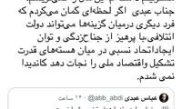 محسن رضایی پاسخ توئیت عباس عبدی را داد