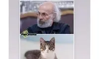 هدیه تهرانی: چیزی نمونده به کره‌شمالی برسیم