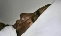 عاقبت تلخ حرف زدن دختر با پسر +عکس