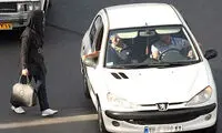 درباره آن‌ها که متلک می‌اندازند، خَزها منقرض نمی‌شوند!