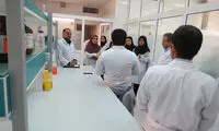 710 محقق ایرانی به کشور بازگشتند