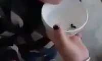 ویدئوی عجیب از خوردن بچه‌قورباغه توسط کودک چینی