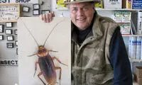 تالار مشاهیر سوسک‌ ها! +عکس