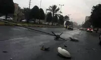 خسارات طوفان در بوشهر