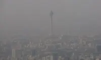دمنوش‌های جادویی برای مقابله با آلودگی هوا