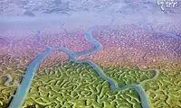 پارک ملی اسپانیا؛ مغز غول پیکر طبیعت