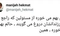 حکمت: حالم از مسئولان دروغگو به هم می‌خورد