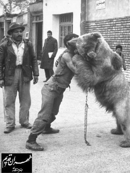 کُشتی با خرس در تهران قدیم +عکس