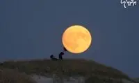 عکس: شوخی با ماه!