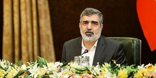 سفر سخنگوی سازمان انرژی اتمی به وین