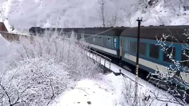 برف در جاده، برف در خیابان، برف زیبا، برف شادی