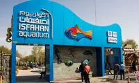 شگفت انگیزترین ماهی های جهان در نصف جهان!