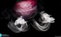 قاب دیدنی المپیک؛ اسلحه به دستان