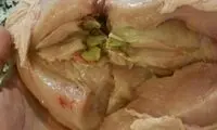 علت سبز شدن عضله سینه مرغ