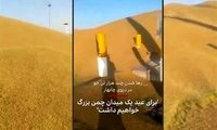 ماجرای دپوی هزاران تن جو سبز شده در چابهار