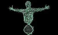 جهش DNA پیری را سرعت می‌دهد
