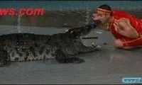 سر جوان در دهان یک تمساح بزرگ!