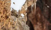 خوب به این عکس‌ها دقت کنید تا نکته را بگیرید!
