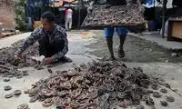 تصاویر دردناک از سلاخ خانه مارها