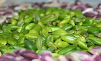 باند سرقت پسته در رفسنجان متلاشی شد